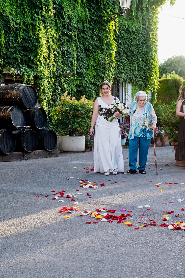 Salida de los novios bajo la lluvia de pétalos y arroz en Granada